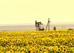 Укрнафта цьогоріч збільшила видобуток нафти й конденсату на 6,4%