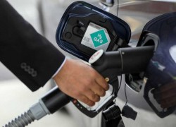 2019-06-05: В розницу незначительно упали цены на светлые нефтепродукты и сжиженный газ