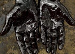 Полтавские похитители нефти отделались условным наказанием