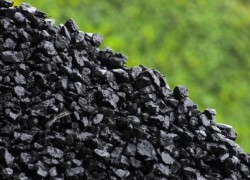 Запасы угля на складах ТЭС Украины ниже прошлогодних на 46%