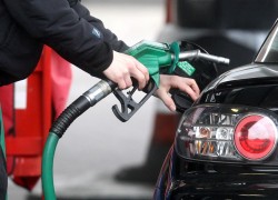 2019-08-23: В рознице отмечался рост цен на светлые нефтепродукты и СУГ