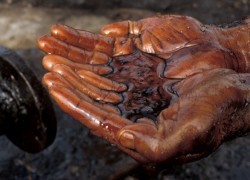 Забастовки и восстания спровоцировали падение нефтяного сектора Ливии