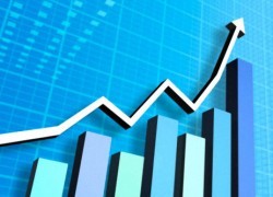 Высокооктановые бензины в мелком опте подорожали