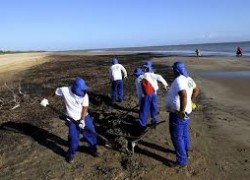В Бразилии тысячи военных привлечены к очистке пляжей от нефти