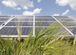 Голландский FMO приобрел 40% в проекте СЭС Scatec Solar в Чигирине