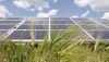 Голландский FMO приобрел 40% в проекте СЭС Scatec Solar в Чигирине
