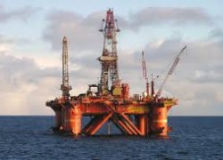 «Дельфин» будет выставлен на СРП-конкурс двумя лотами — Опимах
