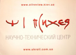 Як забезпечити ефективну роботи експертного середовища в умовах карантину?