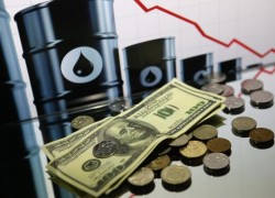Goldman Sachs спрогнозировал падение цен на нефть до $20 за баррель