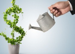 «Гарпок» не отримував проект постанови про свою ліквідацію