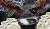 Нефть прибавляет в цене в ожидании сделки ОПЕК+