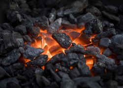 Введение пошлины на российский уголь перенесли на 1 мая