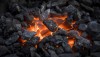Введение пошлины на российский уголь перенесли на 1 мая