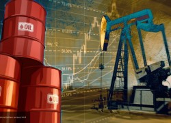 Аналитики ОПЕК спрогнозировали падение спроса на нефть в 2020 году на 6,8 млн б/с