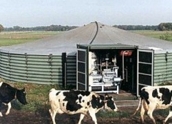 Донбасская агрофирма будет вырабатывать электроэнергию из отходов