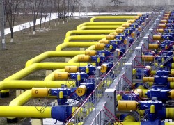 В Україні зросла кількість імпортерів газу