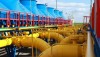 Підземні газосховища заповнені більш як на дві третини