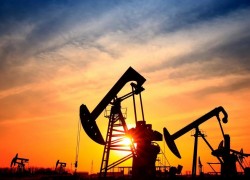 МЭА снизило прогноз спроса на нефть в 2020г