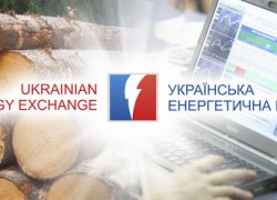 За полгода победители от электронной площадки ТБ «УЭБ» приобрели активов на сумму почти 200 млн грн