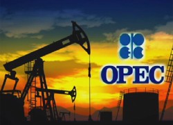 ОПЕК ухудшила прогноз падения спроса на нефть