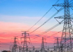 Энергоатом-Трейдинг продал на аукционе 14 900 МВт·ч для экспорта