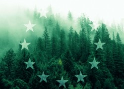 Міністри енергетики G20 обговорили низьковуглецеву економіку в умовах кризи