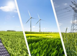 Гарантований покупець оголосив перший аукціон з купівлі-продажу електроенергії з ВДЕ за двосторонніми договорами