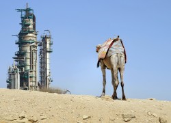 Саудовская Аравия рассчитывает 3-летний бюджет исходя из цены нефти в $50 за баррель — Goldman Sachs