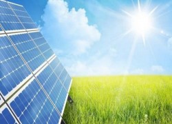 Нафтогаз ввів у експлуатацію сонячну електростанцію в Житомирській області потужністю 33 МВт