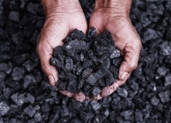 Україна скоротила закупівлю імпортного вугілля майже на 50%