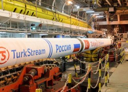 Сербия может перенести ввод своего участка Турецкого потока