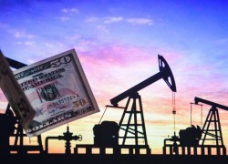 Нефтяные цены падают на новостях о новом штамме коронавируса