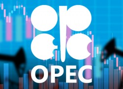 Страны ОПЕК+ договорились о параметрах сокращения добычи нефти в феврале и марте