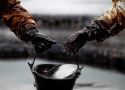 2021-02-17: Світові ціни на нафту в корекції