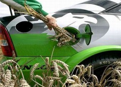 Украинские зерновики выходят на рынок биотоплива ЕС