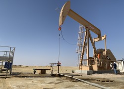 Нафтогаз затвердив річну програму розвитку видобутку вуглеводнів у Египті