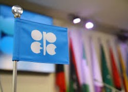 Дані ОПЕК + вказують, що дефіцит на ринку нафти збережеться до кінця року