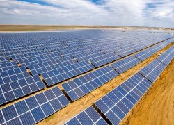 Французька Total купує 6 сонячних електростанцій в Україні