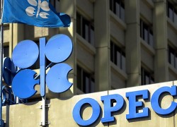 ОАЕ та ОПЕК досягли компромісу щодо угоди ОПЕК+