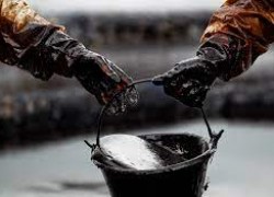 На Рівненщині підприємство зберігало понад 700 тонн пального без дозвільних документів