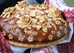 Госзакупки совершай – Госфининспекцию встречай!