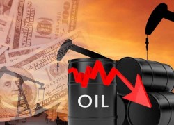 2021-11-23: Ціни на нафту знижуються в очікуванні рішення США використовувати нафту зі стратегічного запасу