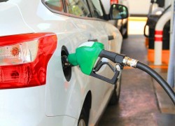 14 грудня ціни на АЗС нервово коливалися
