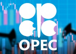 Новим генсеком ОПЕК став представник Кувейту