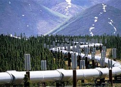 На Закарпатье прорвало нефтепровод