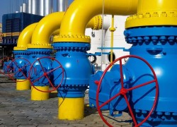 До газових торгів допустили ще 9 виробників продтоварів