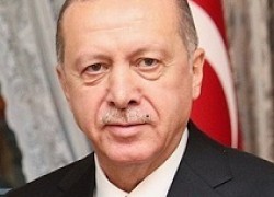 Турция готова увеличить поставки газа в Австрию, — Эрдоган