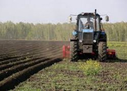 Пальне в Україні може здорожчати ще на 20-25% – Олександр Захарчук