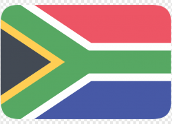 В ЮАР начались беспорядки из-за роста цен на энергоресурсы и падения уровня жизни