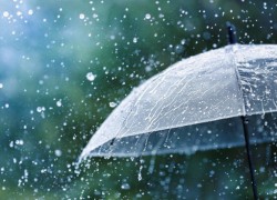 Во Франции из-за засухи могут ограничить подачу воды населению и фермерам